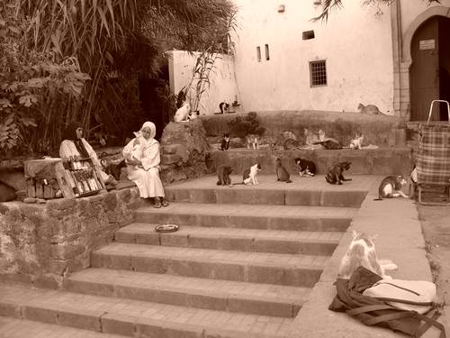 Photo / Rabat Sheila