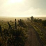 Photo / Lozère
